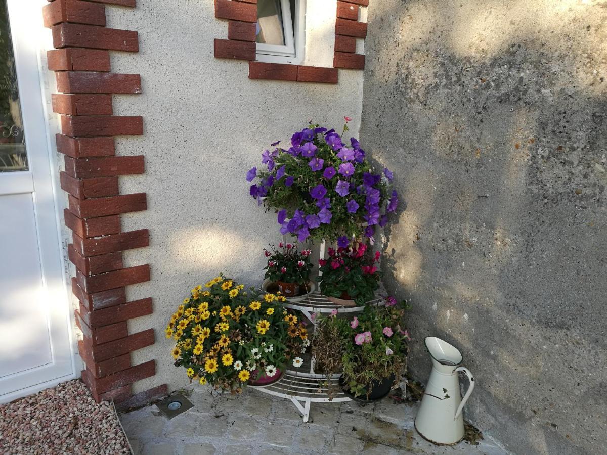 Caves Du Coteau 3 Bed and Breakfast Lunay Exteriör bild